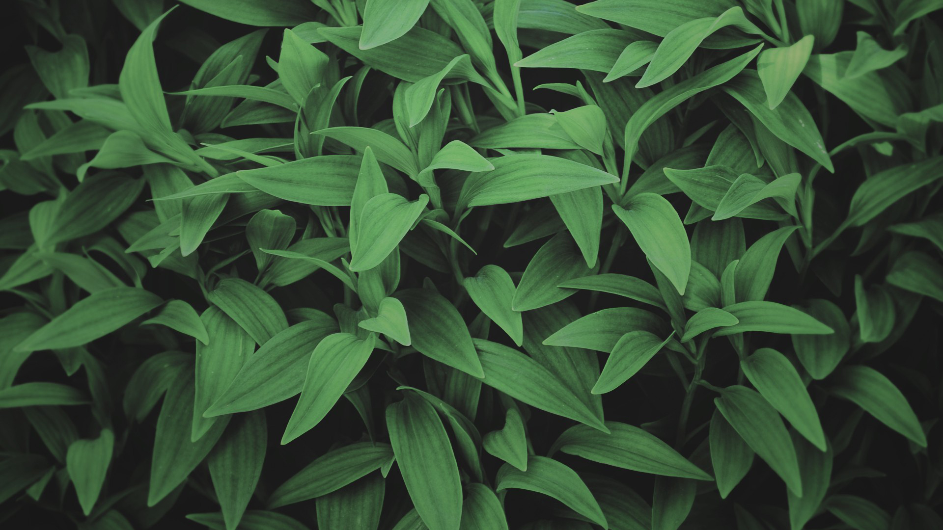 給我一點(diǎn)拉客的個(gè)人主頁(yè)（封面預(yù)覽） - 主頁(yè)封面設(shè)置 - 站酷設(shè)計(jì)師給我一點(diǎn)拉客原創(chuàng)素材 - 站酷ZCOOL