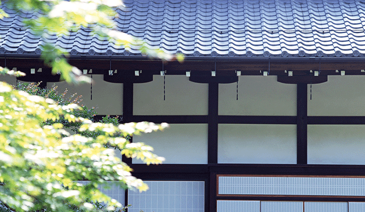 PM騎士的個人主頁（封面預覽） - 主頁封面設置 - 站酷設計師PM騎士原創(chuàng)素材 - 站酷ZCOOL