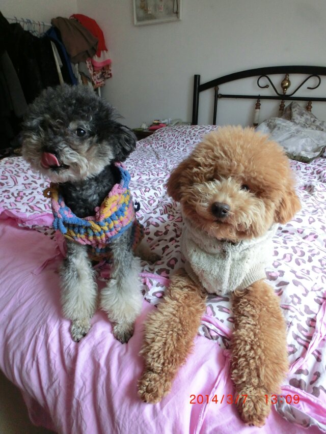 饭小嫣的个人主页（封面预览） - 主页封面设置 - 站酷设计师饭小嫣原创素材 - 站酷ZCOOL