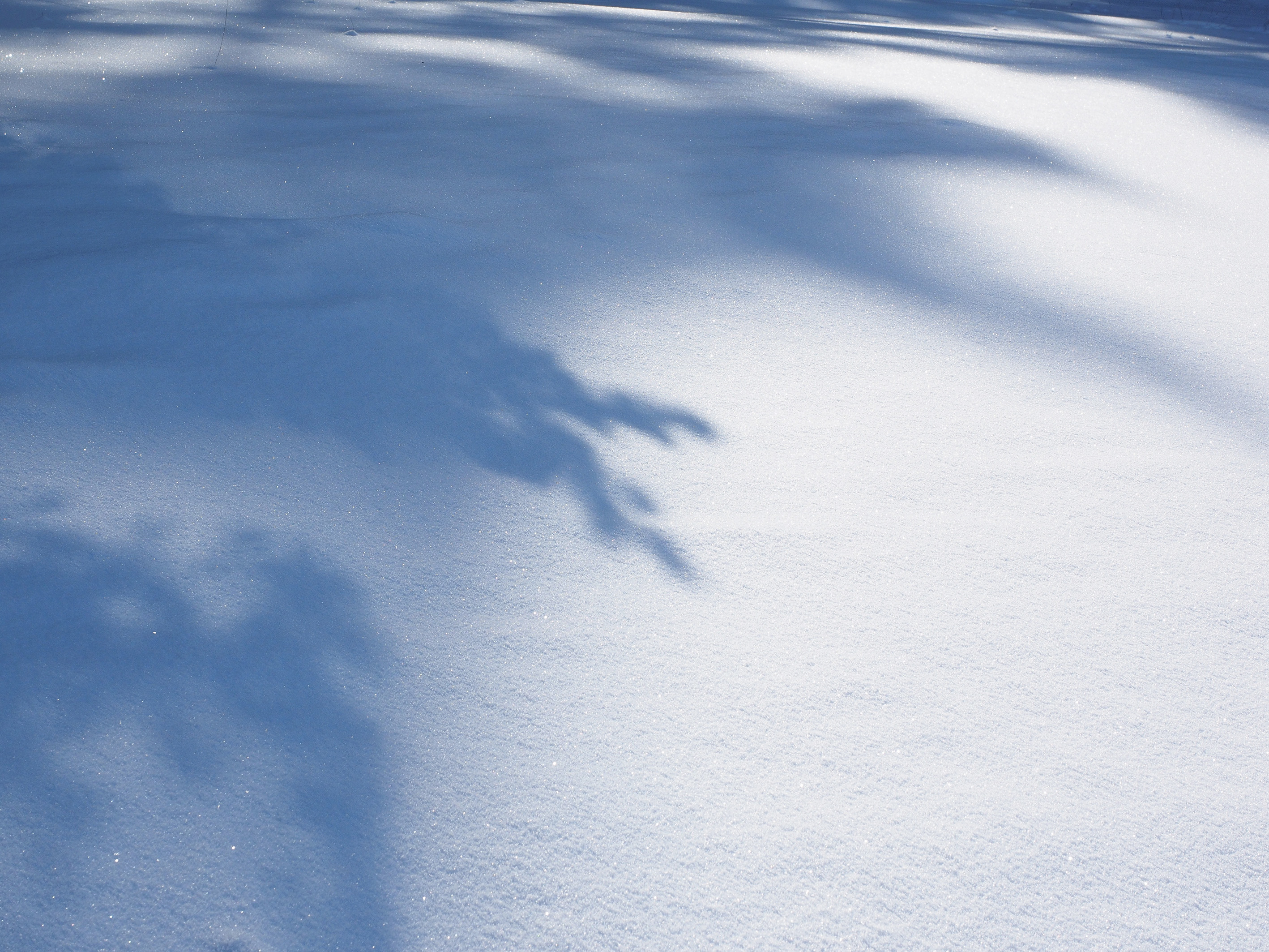翼飛不飛的個人主頁（封面預覽） - 主頁封面設置 - 站酷設計師翼飛不飛原創(chuàng)素材 - 站酷ZCOOL