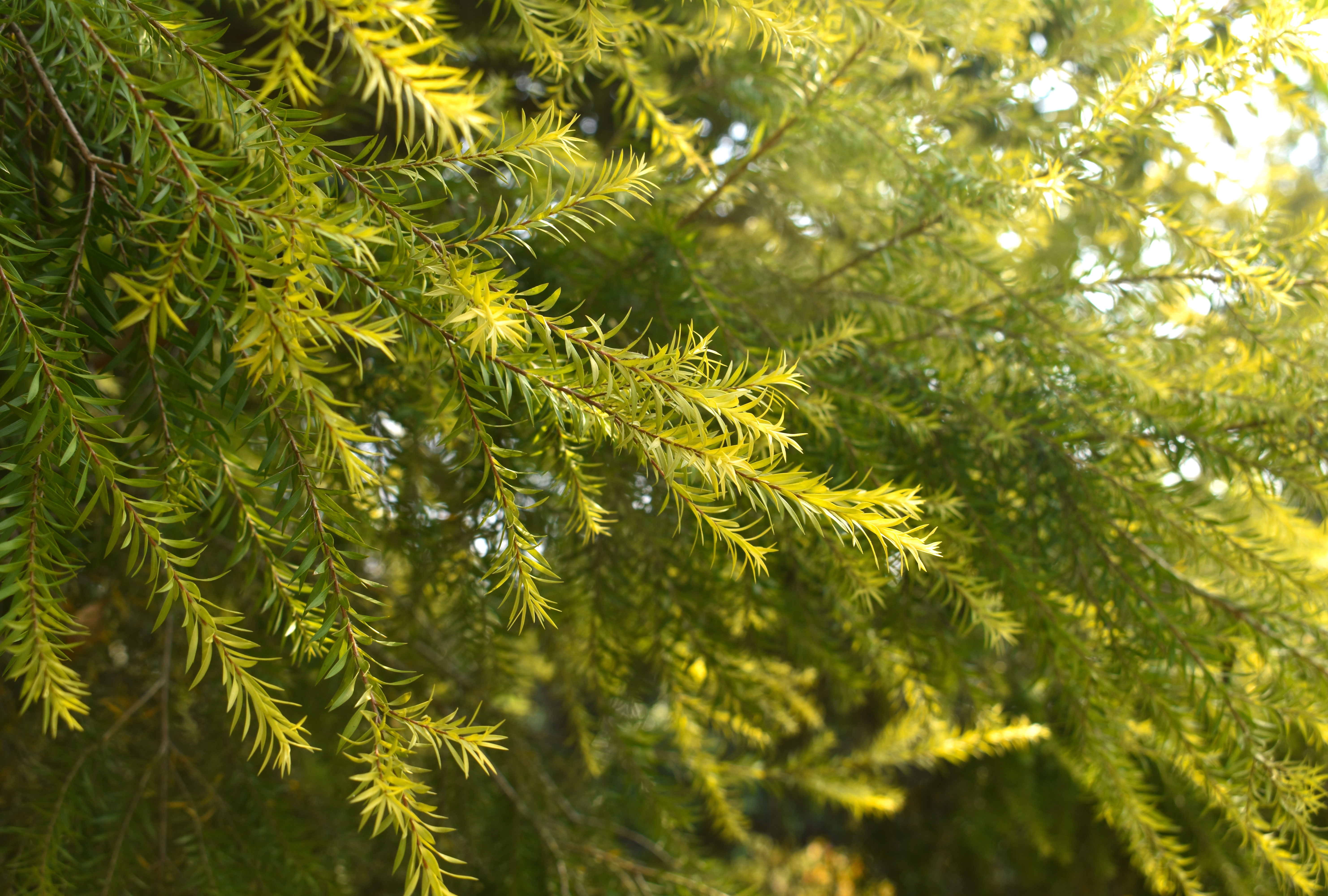 Anldy花的個人主頁（封面預(yù)覽） - 主頁封面設(shè)置 - 站酷設(shè)計師Anldy花原創(chuàng)素材 - 站酷ZCOOL