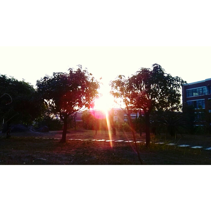 逸言的个人主页（封面预览） - 主页封面设置 - 站酷设计师逸言原创素材 - 站酷ZCOOL