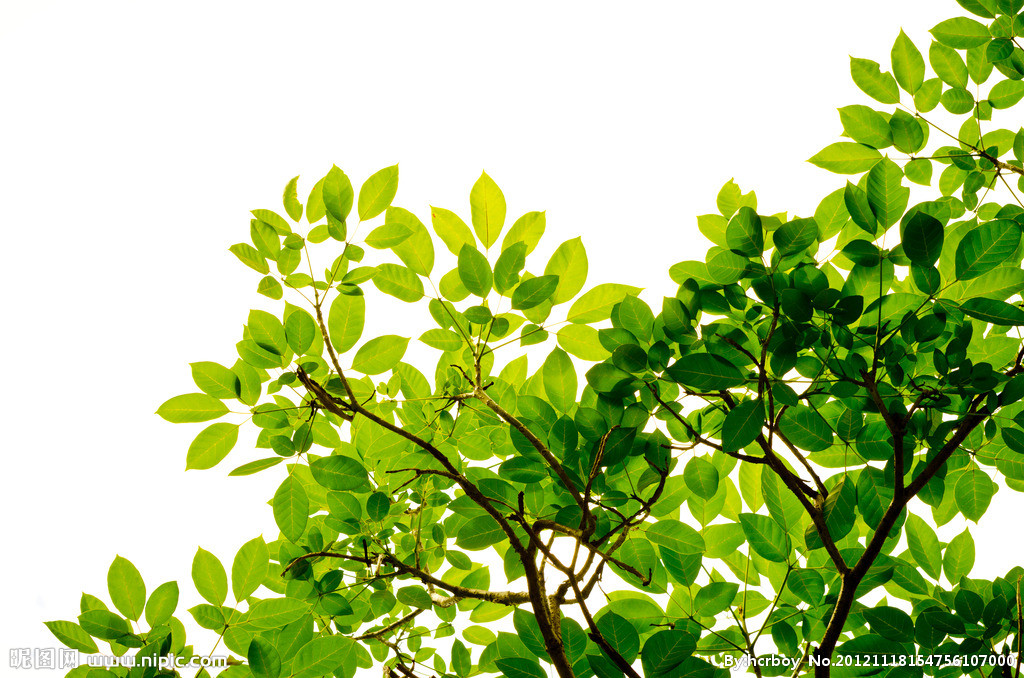 吕春笋的个人主页（封面预览） - 主页封面设置 - 站酷设计师吕春笋原创素材 - 站酷ZCOOL