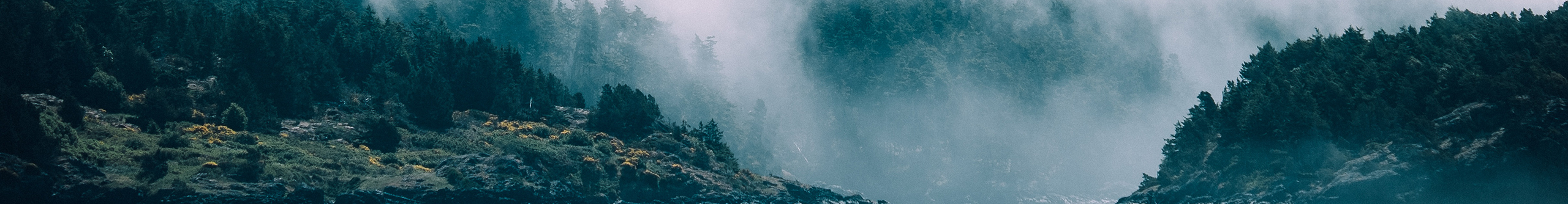 不銹鋼貓咪的個人主頁（封面預覽） - 主頁封面設置 - 站酷設計師不銹鋼貓咪原創(chuàng)素材 - 站酷ZCOOL