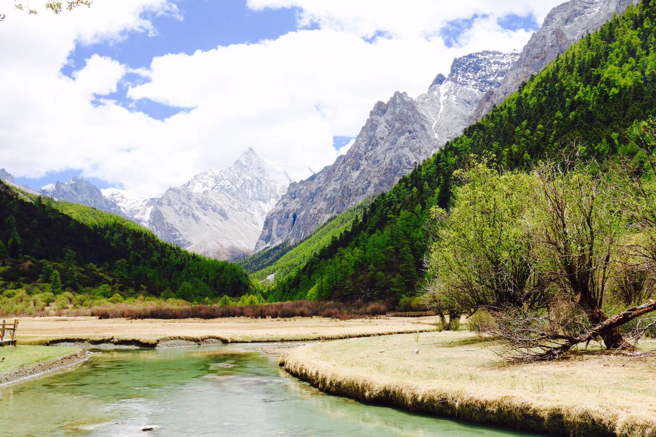止语青荇的个人主页（封面预览） - 主页封面设置 - 站酷设计师止语青荇原创素材 - 站酷ZCOOL