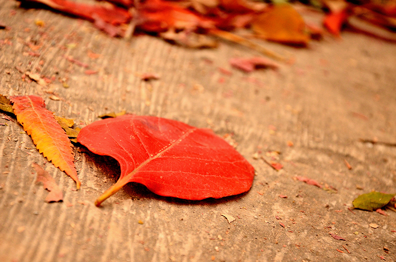 老婆不管的個人主頁（封面預(yù)覽） - 主頁封面設(shè)置 - 站酷設(shè)計師老婆不管原創(chuàng)素材 - 站酷ZCOOL