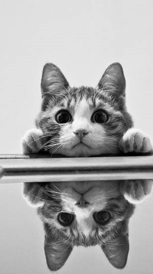 何振宇的個人主頁（封面預(yù)覽） - 主頁封面設(shè)置 - 站酷設(shè)計師何振宇原創(chuàng)素材 - 站酷ZCOOL