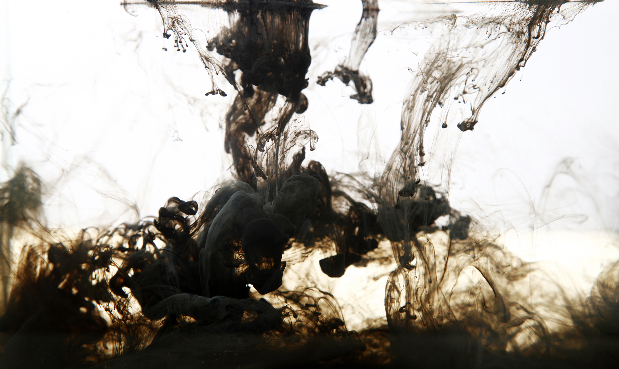 她在江湖飘Andy的个人主页（封面预览） - 主页封面设置 - 站酷设计师她在江湖飘Andy原创素材 - 站酷ZCOOL