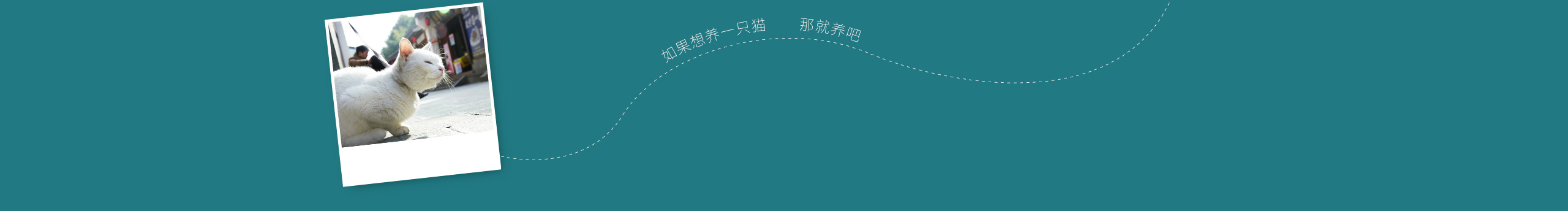 地瓜童鞋的个人主页（封面预览） - 主页封面设置 - 站酷设计师地瓜童鞋原创素材 - 站酷ZCOOL