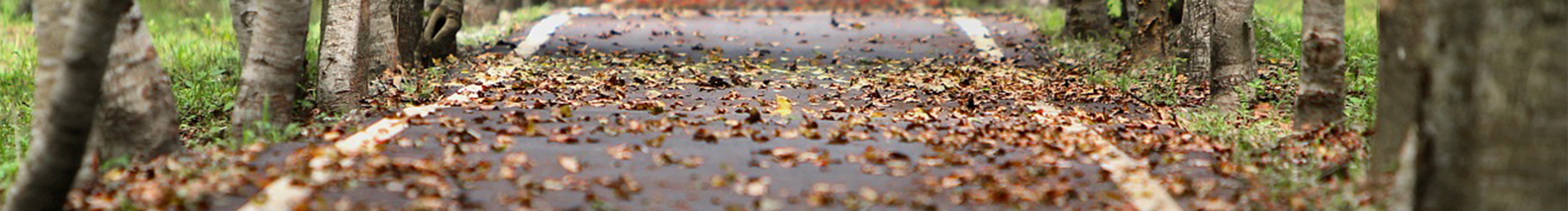 YP設(shè)計的個人主頁（封面預(yù)覽） - 主頁封面設(shè)置 - 站酷設(shè)計師YP設(shè)計原創(chuàng)素材 - 站酷ZCOOL