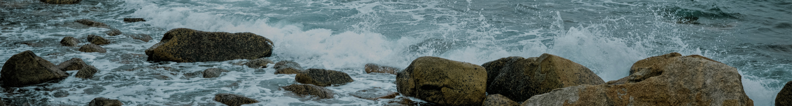 家強(qiáng)蜀黍的夏天的個(gè)人主頁(yè)（封面預(yù)覽） - 主頁(yè)封面設(shè)置 - 站酷設(shè)計(jì)師家強(qiáng)蜀黍的夏天原創(chuàng)素材 - 站酷ZCOOL