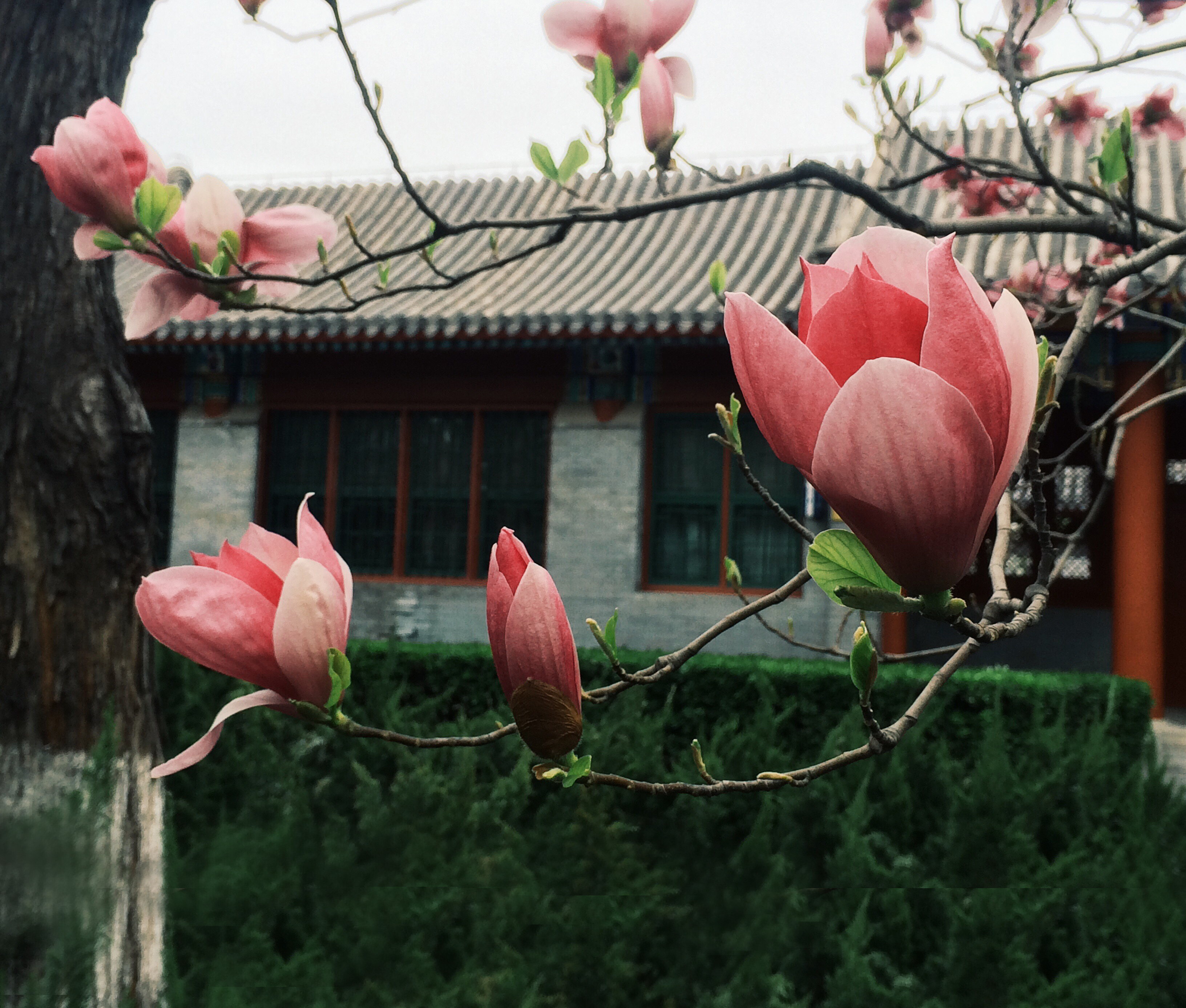 邓颖哲的个人主页（封面预览） - 主页封面设置 - 站酷设计师邓颖哲原创素材 - 站酷ZCOOL