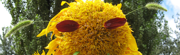 juxiu2007的個人主頁（封面預覽） - 主頁封面設(shè)置 - 站酷設(shè)計師juxiu2007原創(chuàng)素材 - 站酷ZCOOL