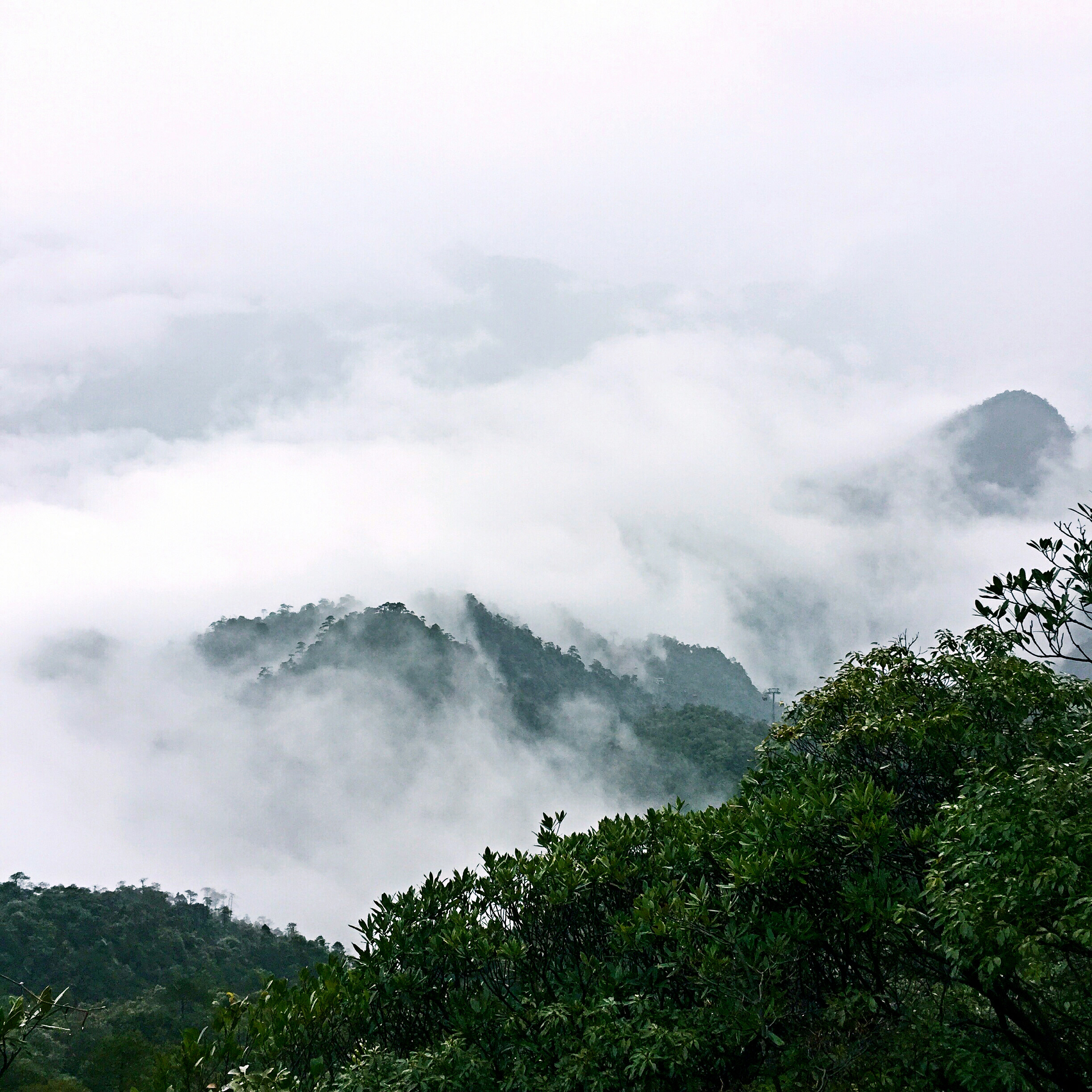 Ipulas的個(gè)人主頁(yè)（封面預(yù)覽） - 主頁(yè)封面設(shè)置 - 站酷設(shè)計(jì)師Ipulas原創(chuàng)素材 - 站酷ZCOOL