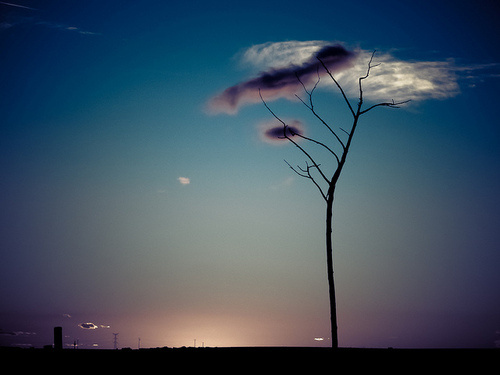 叶璇与林夕的个人主页（封面预览） - 主页封面设置 - 站酷设计师叶璇与林夕原创素材 - 站酷ZCOOL