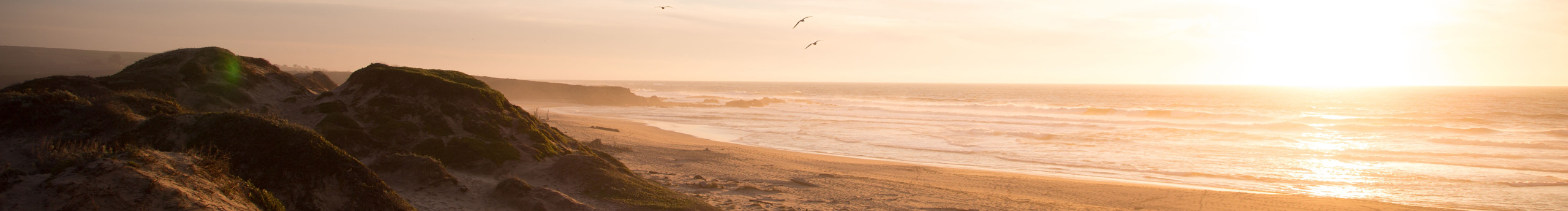 shui1220的個人主頁（封面預覽） - 主頁封面設(shè)置 - 站酷設(shè)計師shui1220原創(chuàng)素材 - 站酷ZCOOL