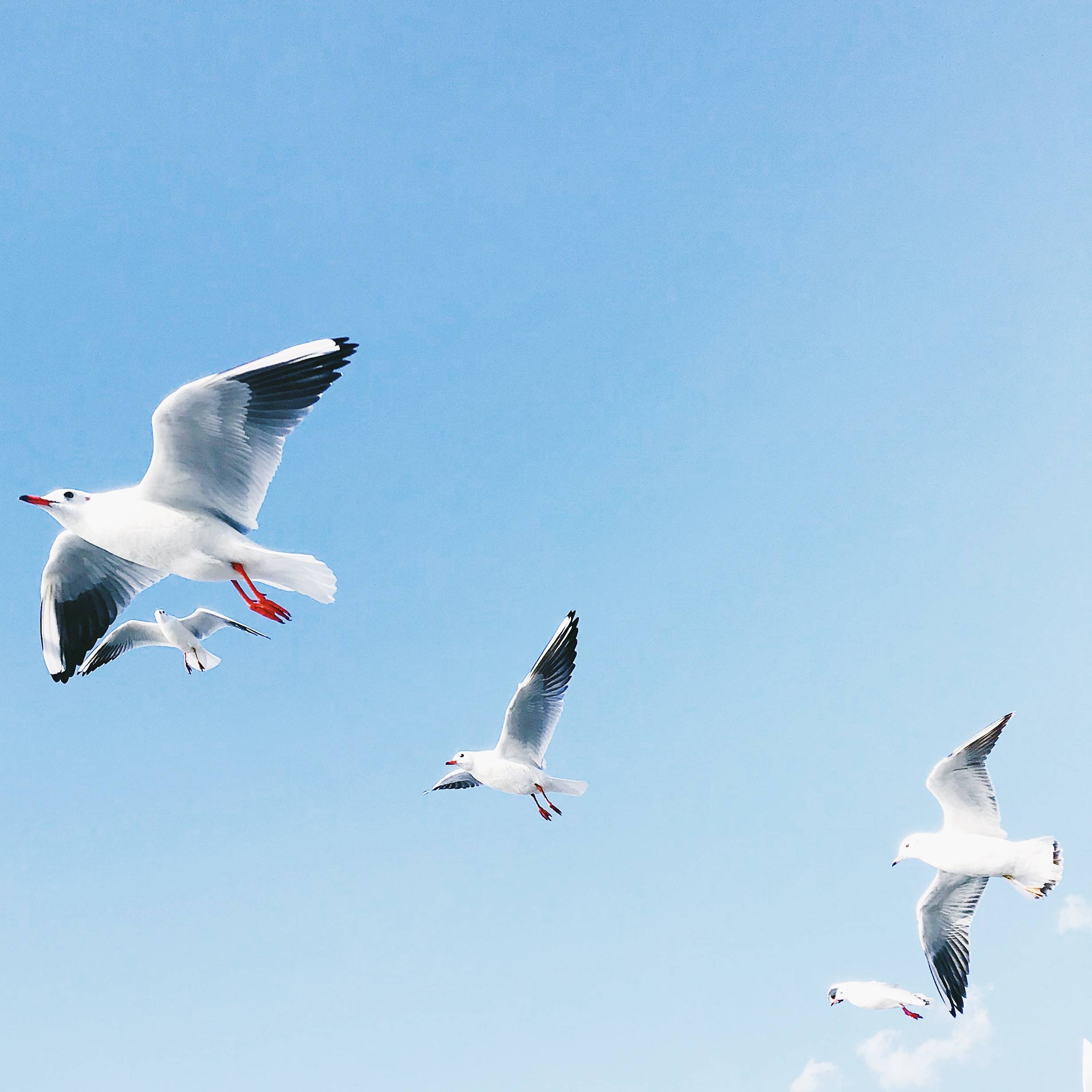 Eddiena的个人主页（封面预览） - 主页封面设置 - 站酷设计师Eddiena原创素材 - 站酷ZCOOL