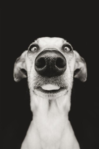 lan_ky的個人主頁（封面預(yù)覽） - 主頁封面設(shè)置 - 站酷設(shè)計師lan_ky原創(chuàng)素材 - 站酷ZCOOL