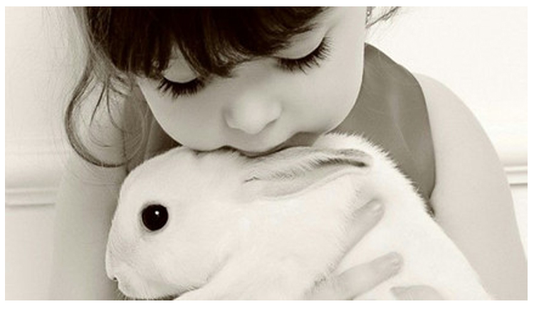 真真正珍珍的个人主页（封面预览） - 主页封面设置 - 站酷设计师真真正珍珍原创素材 - 站酷ZCOOL