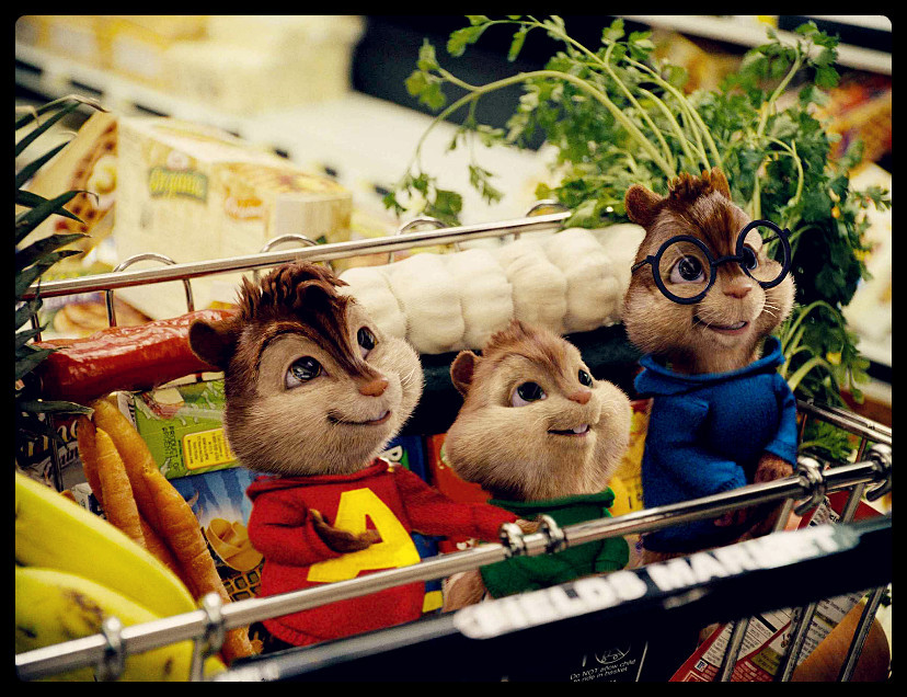 Whaleks的个人主页（封面预览） - 主页封面设置 - 站酷设计师Whaleks原创素材 - 站酷ZCOOL