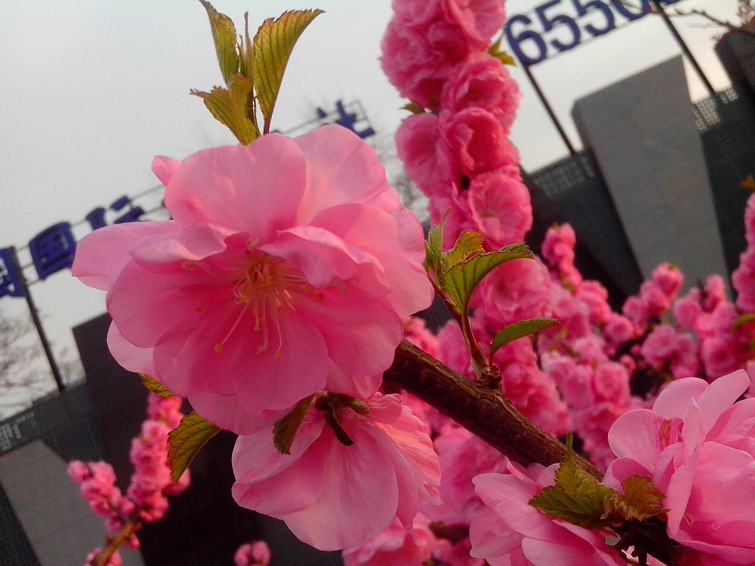 我的整理箱的个人主页（封面预览） - 主页封面设置 - 站酷设计师我的整理箱原创素材 - 站酷ZCOOL