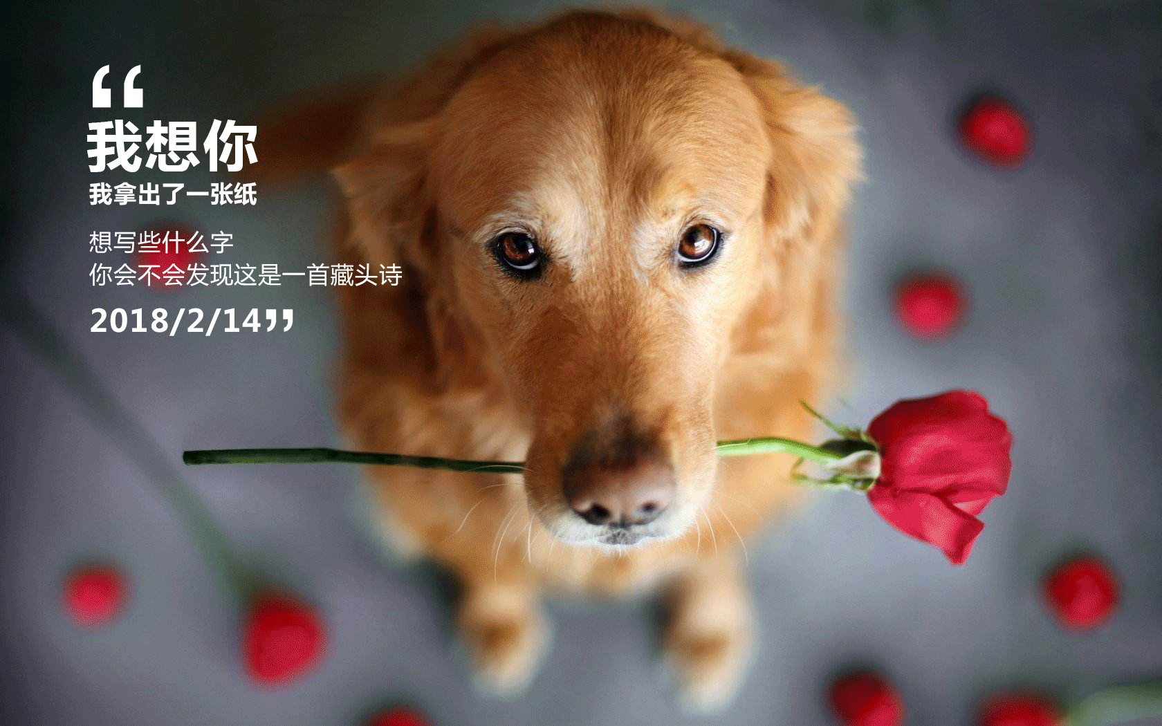 空白的白的个人主页（封面预览） - 主页封面设置 - 站酷设计师空白的白原创素材 - 站酷ZCOOL