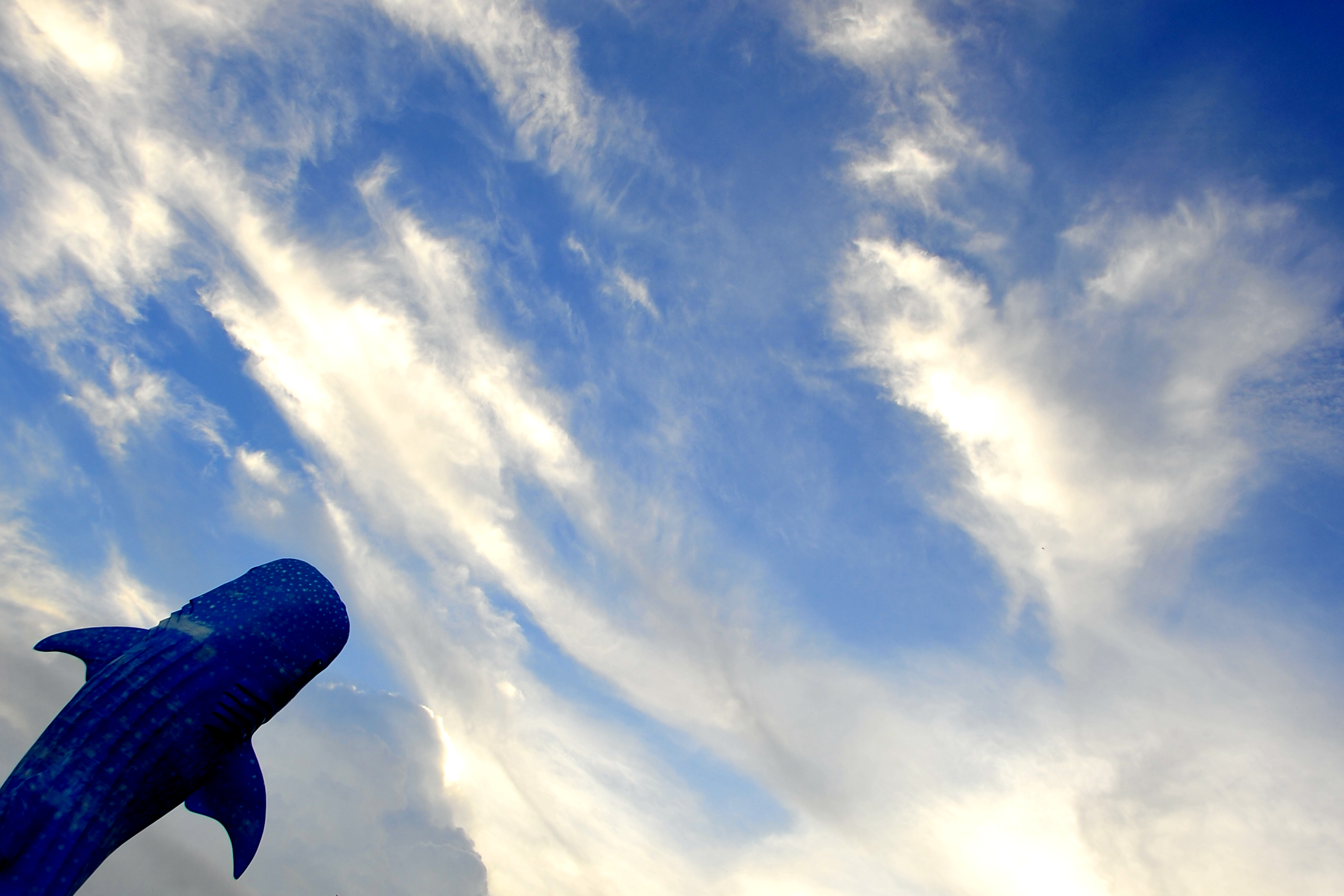 吾翰世的个人主页（封面预览） - 主页封面设置 - 站酷设计师吾翰世原创素材 - 站酷ZCOOL