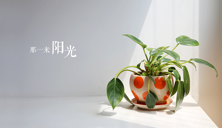 hyf135的個人主頁（封面預覽） - 主頁封面設置 - 站酷設計師hyf135原創(chuàng)素材 - 站酷ZCOOL