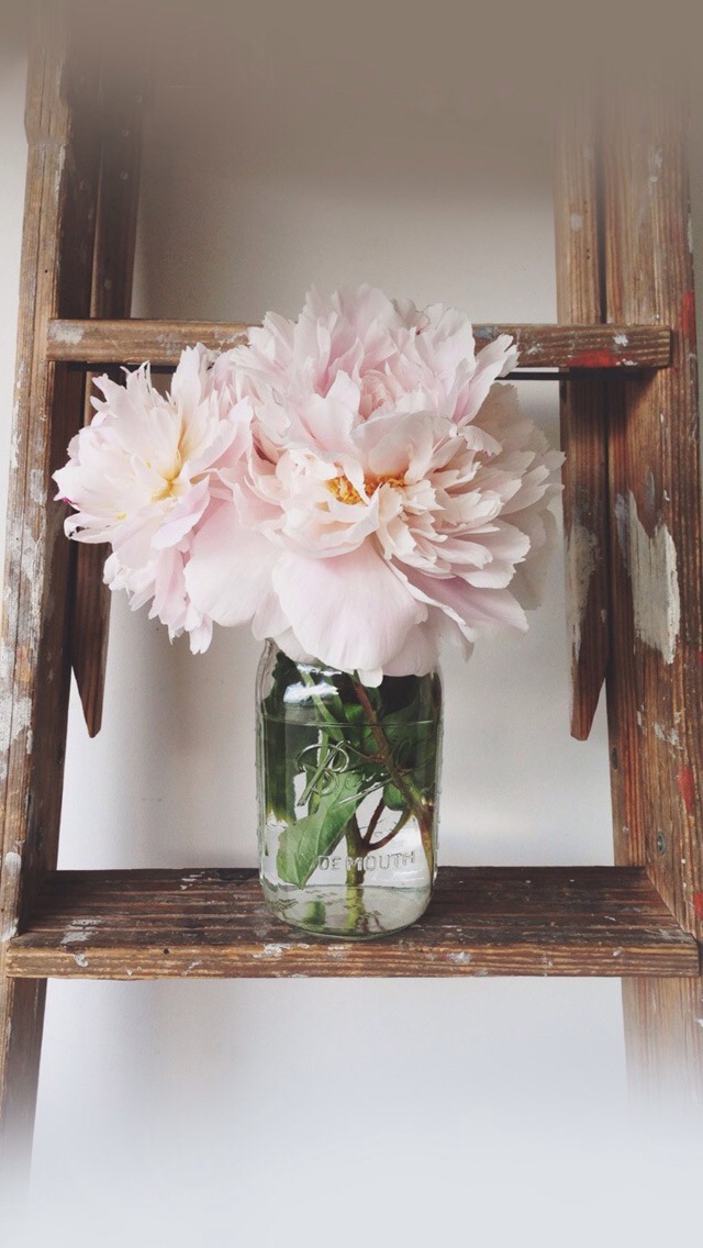 AMBER安柏的個人主頁（封面預(yù)覽） - 主頁封面設(shè)置 - 站酷設(shè)計師AMBER安柏原創(chuàng)素材 - 站酷ZCOOL