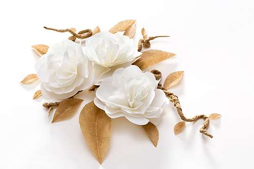 小西几Zoe的个人主页（封面预览） - 主页封面设置 - 站酷设计师小西几Zoe原创素材 - 站酷ZCOOL