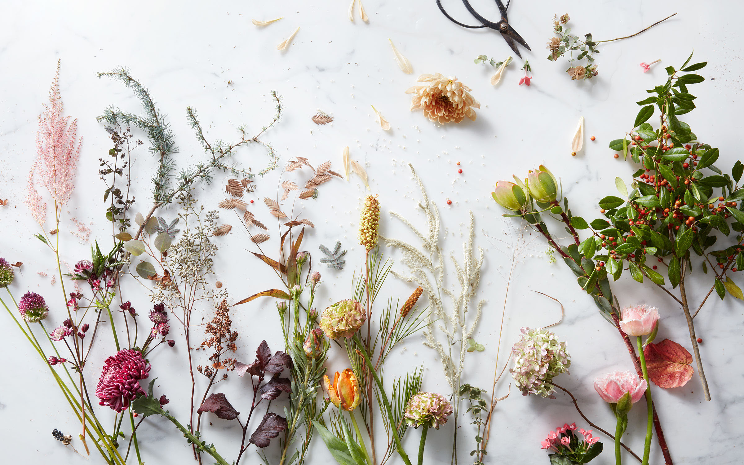 耳朵1的個人主頁（封面預(yù)覽） - 主頁封面設(shè)置 - 站酷設(shè)計師耳朵1原創(chuàng)素材 - 站酷ZCOOL