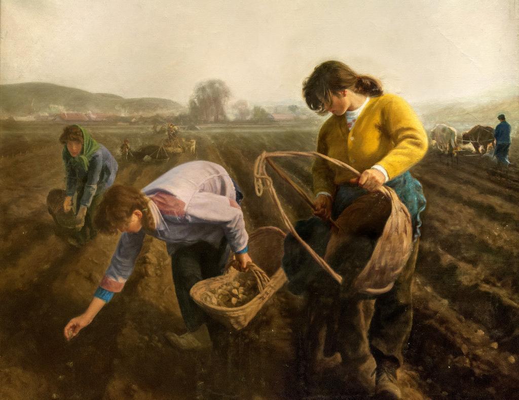 李虾米爱吃虾米的个人主页（封面预览） - 主页封面设置 - 站酷设计师李虾米爱吃虾米原创素材 - 站酷ZCOOL