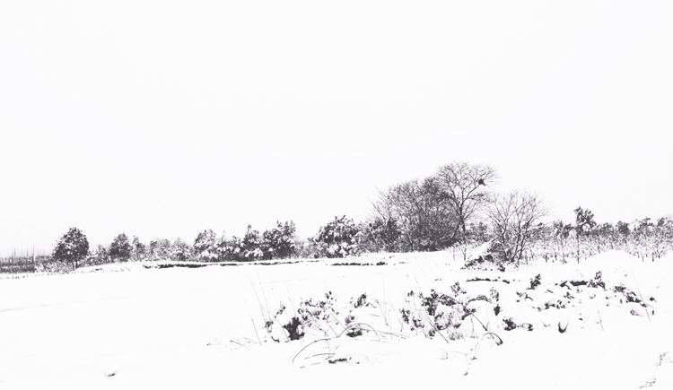 明明_的個(gè)人主頁(yè)（封面預(yù)覽） - 主頁(yè)封面設(shè)置 - 站酷設(shè)計(jì)師明明_原創(chuàng)素材 - 站酷ZCOOL