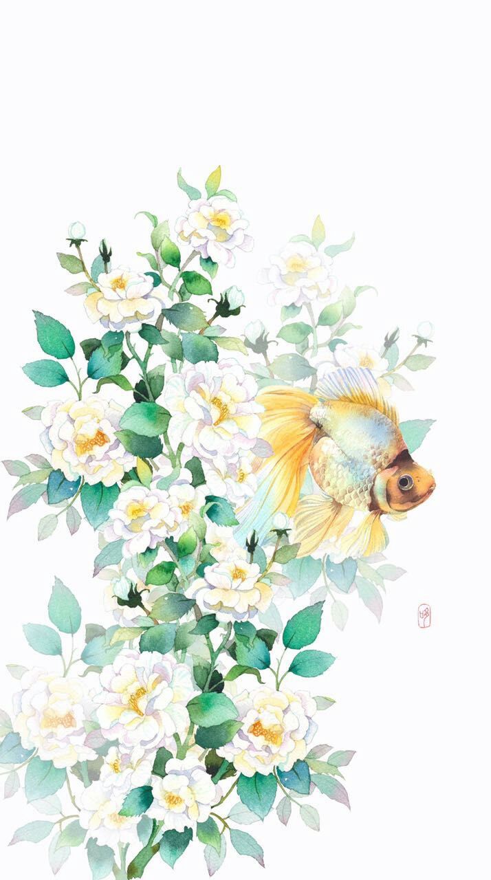 天宝TianBao的个人主页（封面预览） - 主页封面设置 - 站酷设计师天宝TianBao原创素材 - 站酷ZCOOL