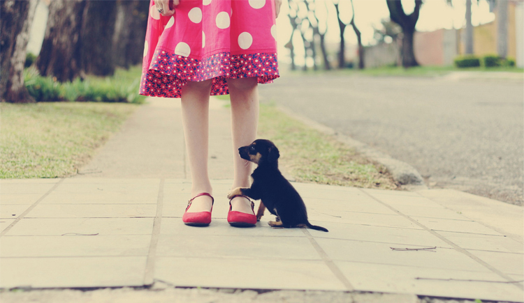 Halods的個(gè)人主頁（封面預(yù)覽） - 主頁封面設(shè)置 - 站酷設(shè)計(jì)師Halods原創(chuàng)素材 - 站酷ZCOOL