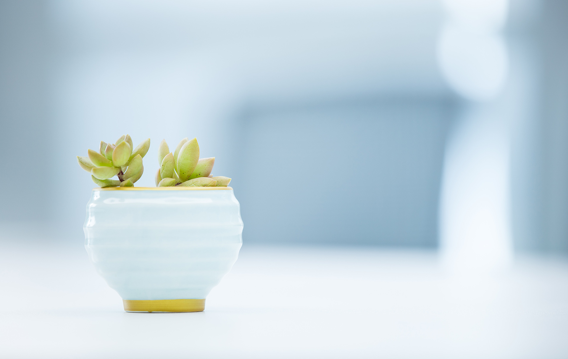 FA酱的个人主页（封面预览） - 主页封面设置 - 站酷设计师FA酱原创素材 - 站酷ZCOOL