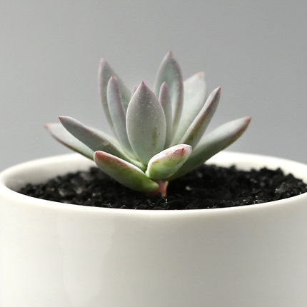 王小不1998的个人主页（封面预览） - 主页封面设置 - 站酷设计师王小不1998原创素材 - 站酷ZCOOL