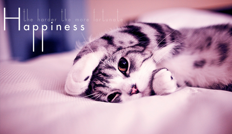 朱小靈的個人主頁（封面預(yù)覽） - 主頁封面設(shè)置 - 站酷設(shè)計師朱小靈原創(chuàng)素材 - 站酷ZCOOL