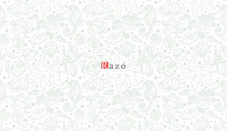 RaZo_CH的个人主页（封面预览） - 主页封面设置 - 站酷设计师RaZo_CH原创素材 - 站酷ZCOOL