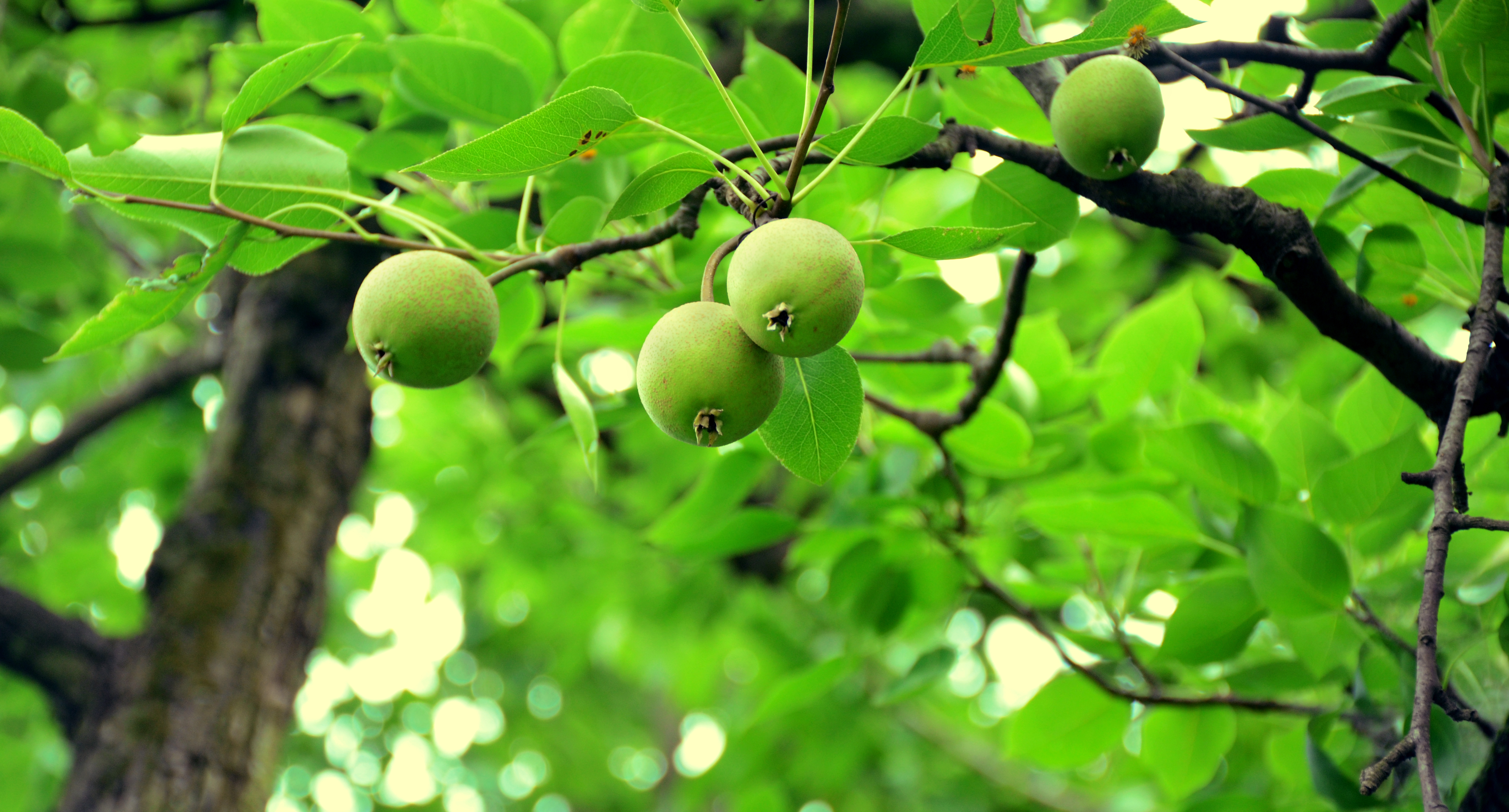 十三画生的个人主页（封面预览） - 主页封面设置 - 站酷设计师十三画生原创素材 - 站酷ZCOOL