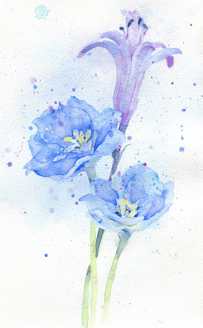 七鹿的個人主頁（封面預(yù)覽） - 主頁封面設(shè)置 - 站酷設(shè)計(jì)師七鹿原創(chuàng)素材 - 站酷ZCOOL