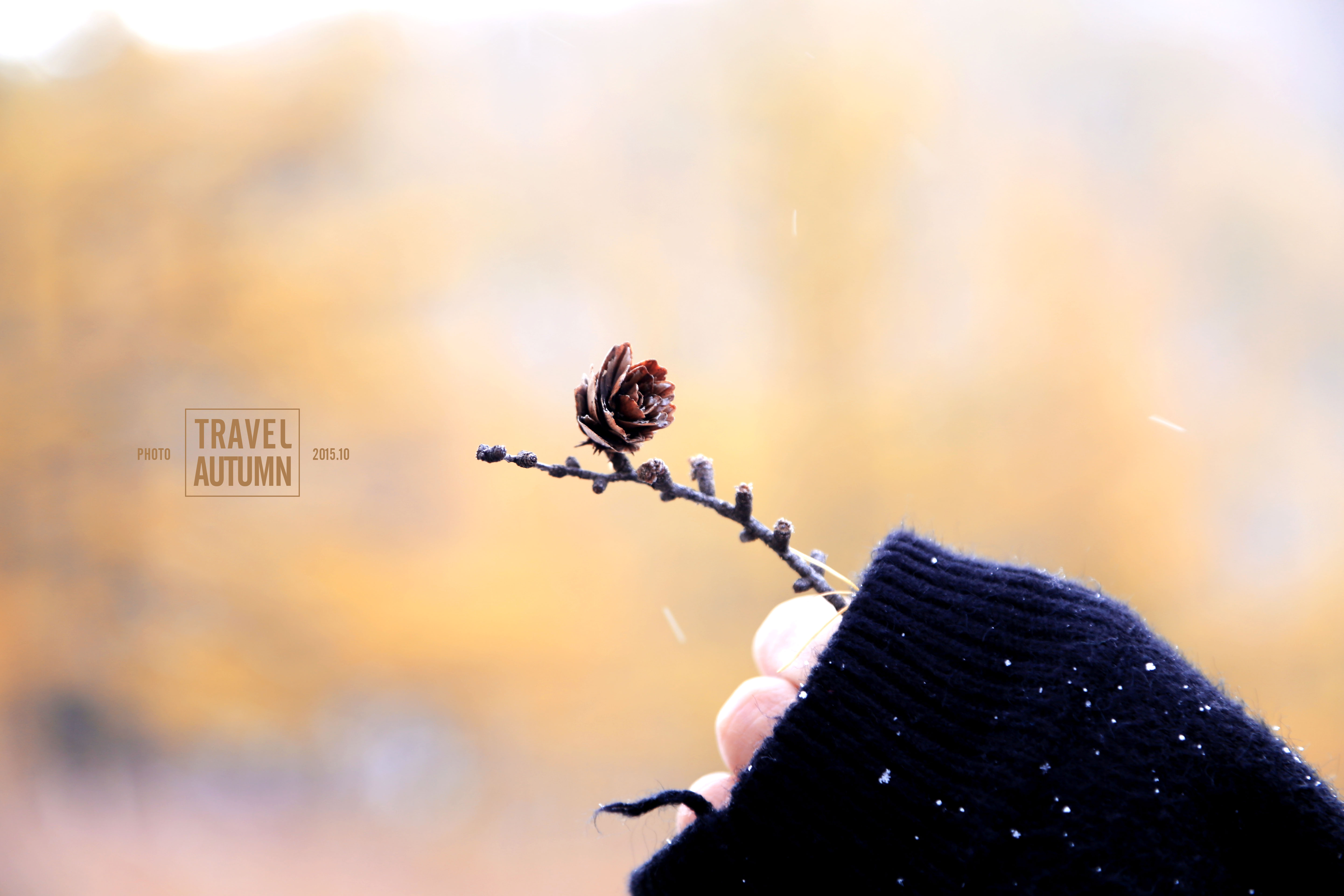 神小孩与烟小烟的个人主页（封面预览） - 主页封面设置 - 站酷设计师神小孩与烟小烟原创素材 - 站酷ZCOOL