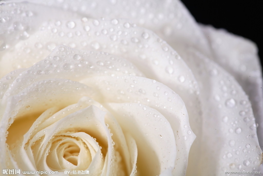 麻小花画画的个人主页（封面预览） - 主页封面设置 - 站酷设计师麻小花画画原创素材 - 站酷ZCOOL