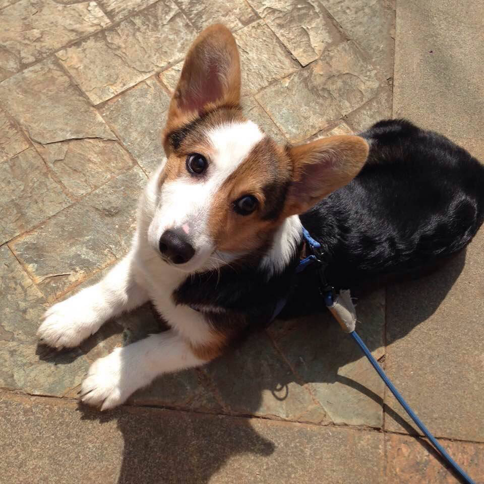 果冻和小希望的个人主页（封面预览） - 主页封面设置 - 站酷设计师果冻和小希望原创素材 - 站酷ZCOOL