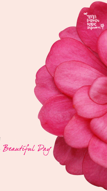 kristyyyy的个人主页（封面预览） - 主页封面设置 - 站酷设计师kristyyyy原创素材 - 站酷ZCOOL