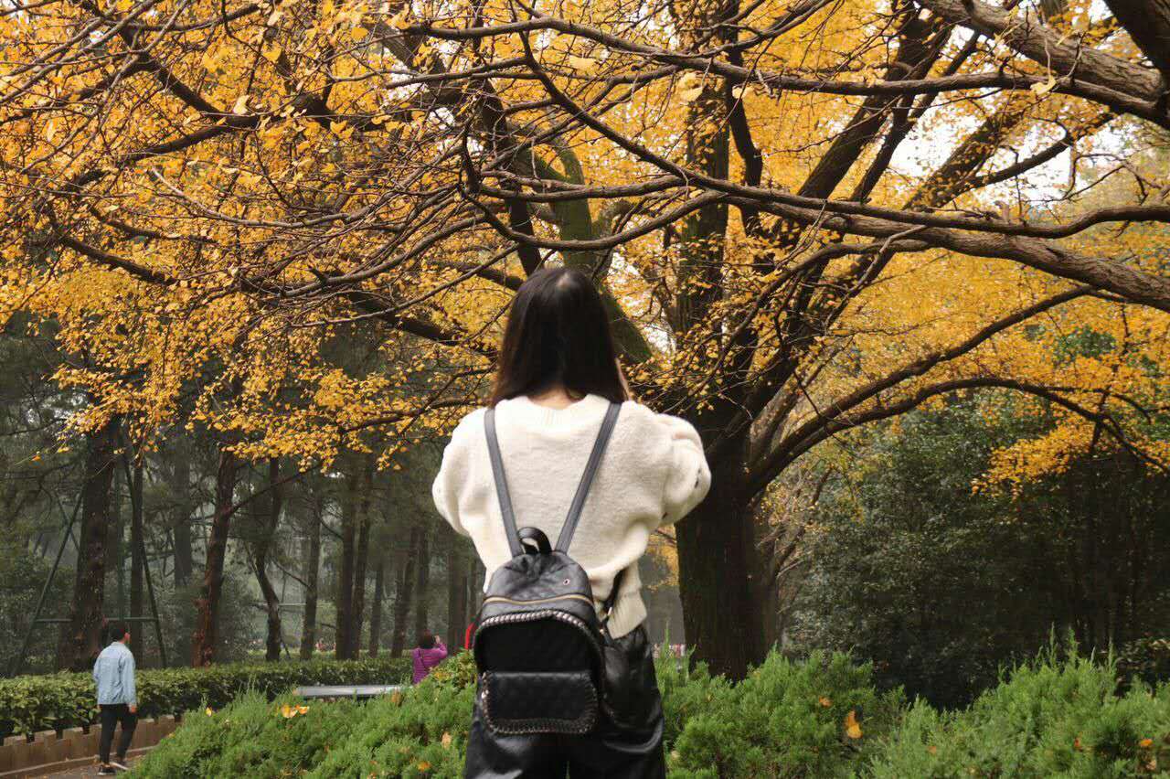 樱桃小文的个人主页（封面预览） - 主页封面设置 - 站酷设计师樱桃小文原创素材 - 站酷ZCOOL