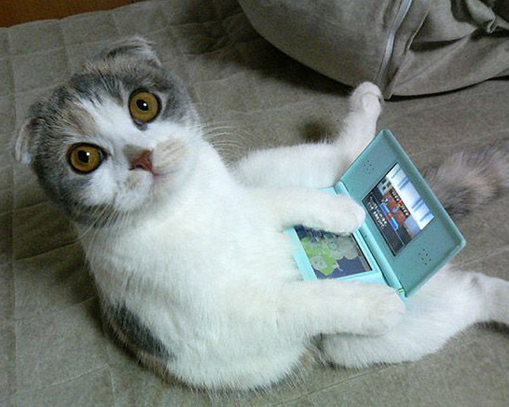 JILSAND_LIN的個(gè)人主頁（封面預(yù)覽） - 主頁封面設(shè)置 - 站酷設(shè)計(jì)師JILSAND_LIN原創(chuàng)素材 - 站酷ZCOOL