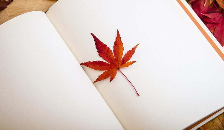 Teresa萌的个人主页（封面预览） - 主页封面设置 - 站酷设计师Teresa萌原创素材 - 站酷ZCOOL