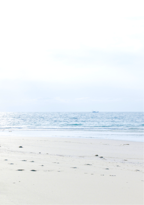 Baiweilantc的个人主页（封面预览） - 主页封面设置 - 站酷设计师Baiweilantc原创素材 - 站酷ZCOOL