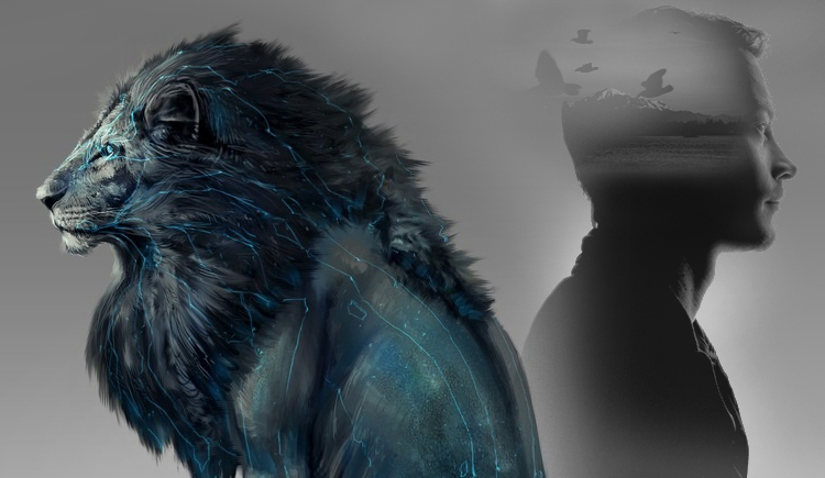 赵birong的个人主页（封面预览） - 主页封面设置 - 站酷设计师赵birong原创素材 - 站酷ZCOOL